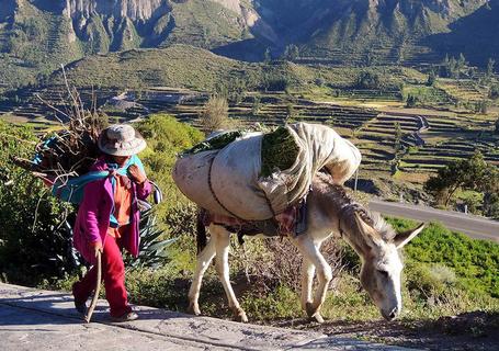 A picture leaving the Colca Valley