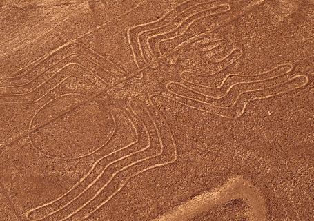 Airplane view of the Nazca line spider