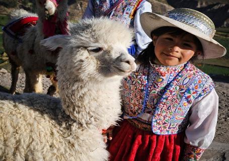 Arequipa - Colca Canyon