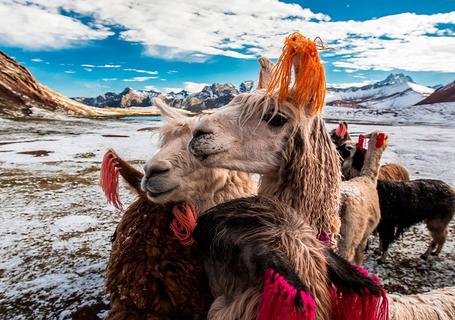 Ausangate, Rainbow Mountain to Machu Picchu