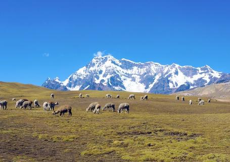 Ausangate, Rainbow Mountain to Machu Picchu