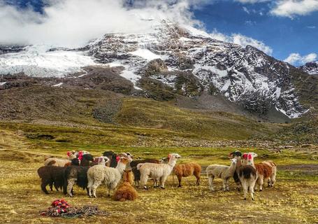 Ausangate, Rainbow Mountain to Machu Picchu