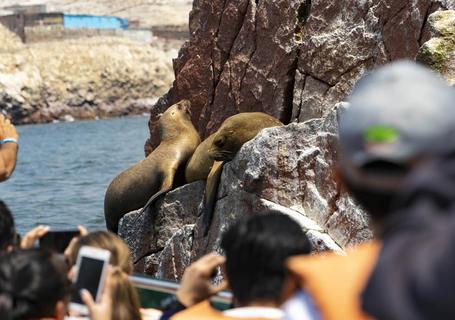 Ballestas tour by boat