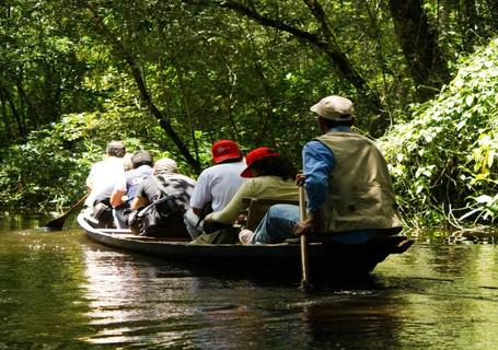 Ceiba Tops Lodge