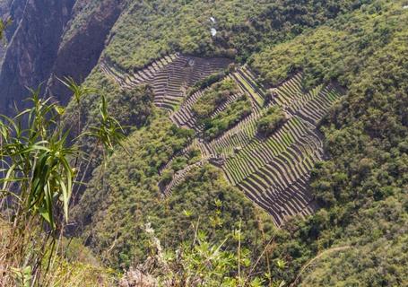 Choquequirao Trek