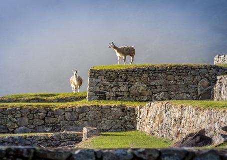 Choquequirao Trek to Machu Picchu