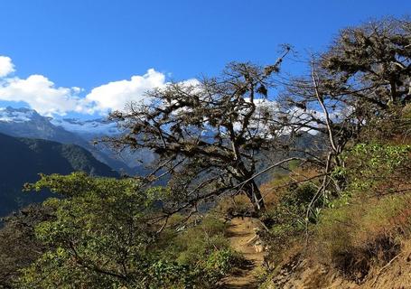 Choquequirao Trek to Machu Picchu