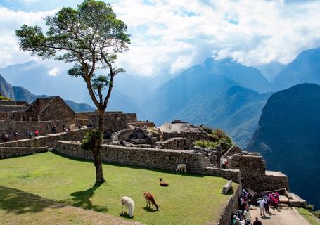 Choquequirao Trek to Machu Picchu