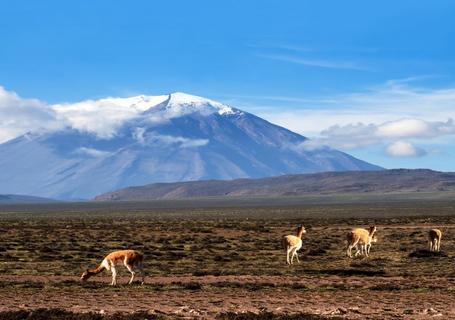 Colca – Arequipa