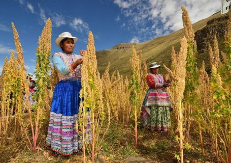 Colca Canyon & Andean Culture