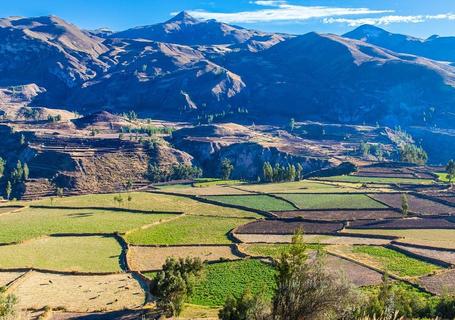 Colca Canyon & Andean Culture