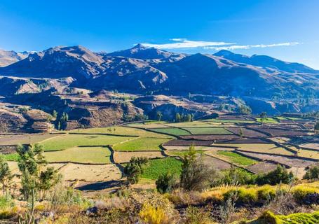 Colca Canyon & Andean Culture