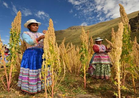 Colca Canyon & Andean Culture