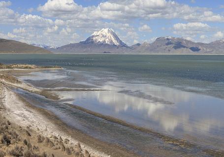 Colca Canyon & Andean Culture