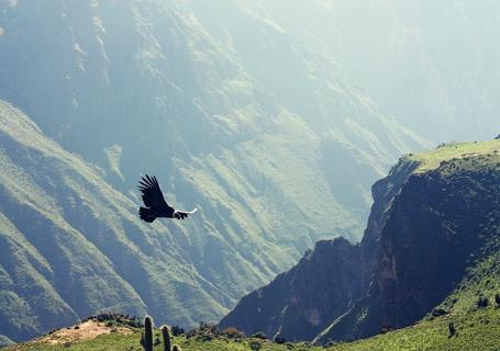 Colca to Puno