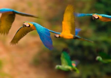 Colours of Perú