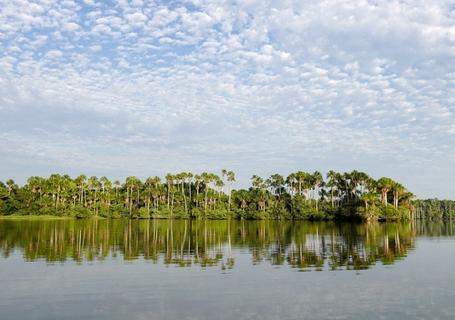 Corto Maltes Amazonia Lodge