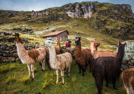 Cusco to Ausangate