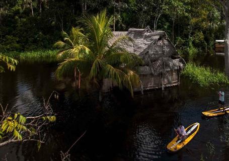 Delfin I Cruise to Pacaya-Samiria Reserve