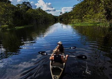 Delfin I Cruise to Pacaya-Samiria Reserve