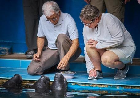 Delfin II Amazon River Cruise