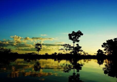 Delfin III Amazon River Cruise