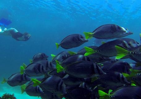 Galapagos from Guayaquil