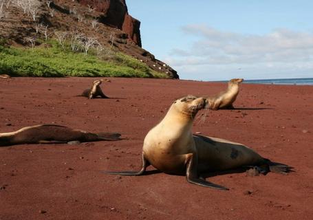 Galapagos from Guayaquil