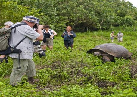 Galapagos from Guayaquil