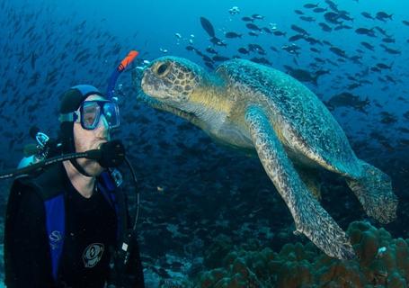 Galapagos from Guayaquil