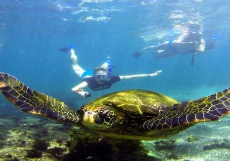 Galapagos from Guayaquil