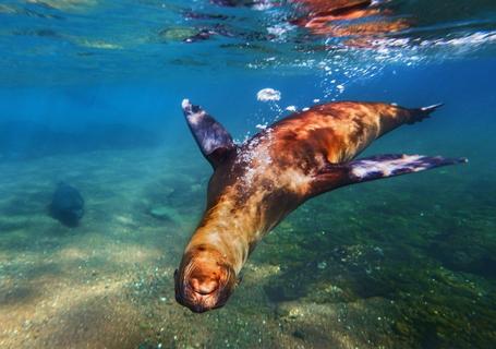 Galapagos from Guayaquil