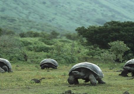 Galapagos from Guayaquil