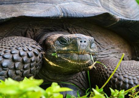 Galapagos from Guayaquil