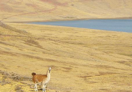 Huchuy Qosqo Hike