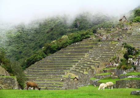 Inca Trail Express to Machu Picchu