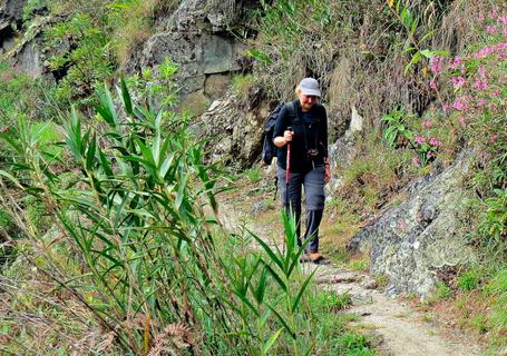 Inca Trail Express to Machu Picchu - hiler on easy route