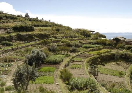 Isla del Sol and the Communities of Lake Titicaca