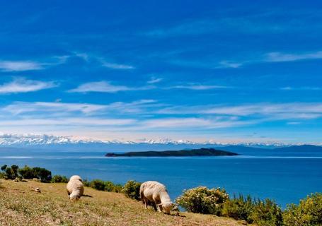 Isla del Sol and the Communities of Lake Titicaca