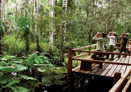 Lake Sandoval, Canopy Walk and Anaconda Walk