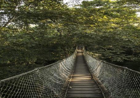 Lake Sandoval, Canopy Walk and Anaconda Walk