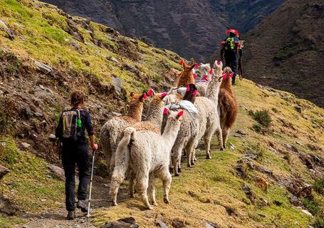 lares