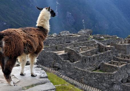 Lares Trek to Machu Picchu - Not Accommodation