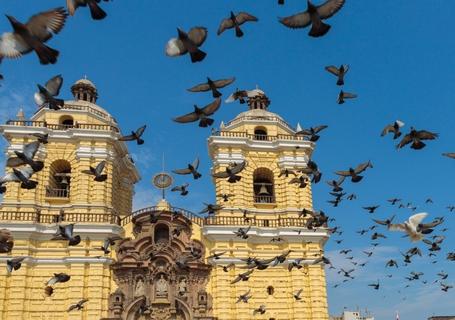 Lima City Tour & Museum of Archaeology and Anthropology