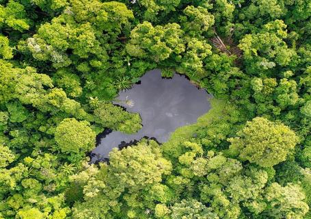 Lost Cocha and Amazonia Viewpoint