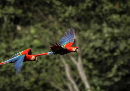 Magical Peru Package