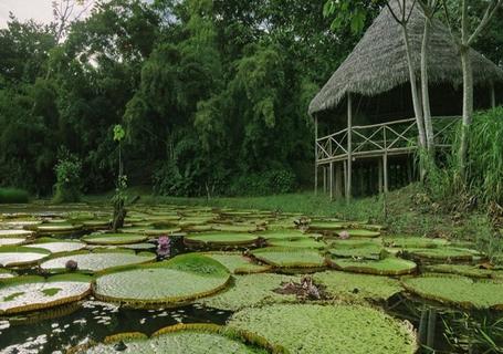 Maniti Eco Lodge