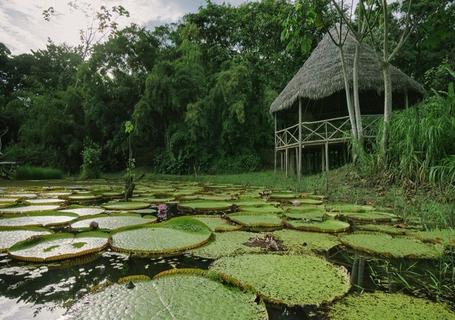 Maniti Eco Lodge