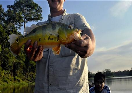 Maniti Eco Lodge