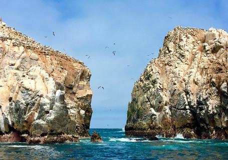 Palomino Islands